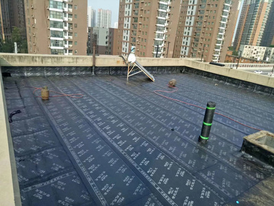 郑西便民信息平台 专业防水工程施工服务详解与指南