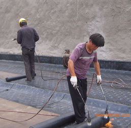 胶南专业防水服务全解析 从公司电话、厂家到工程价格与施工