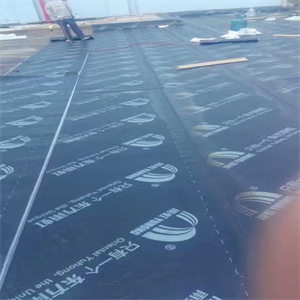 南宁楼顶水泥裂缝补漏 口碑良好的防水工程施工指南